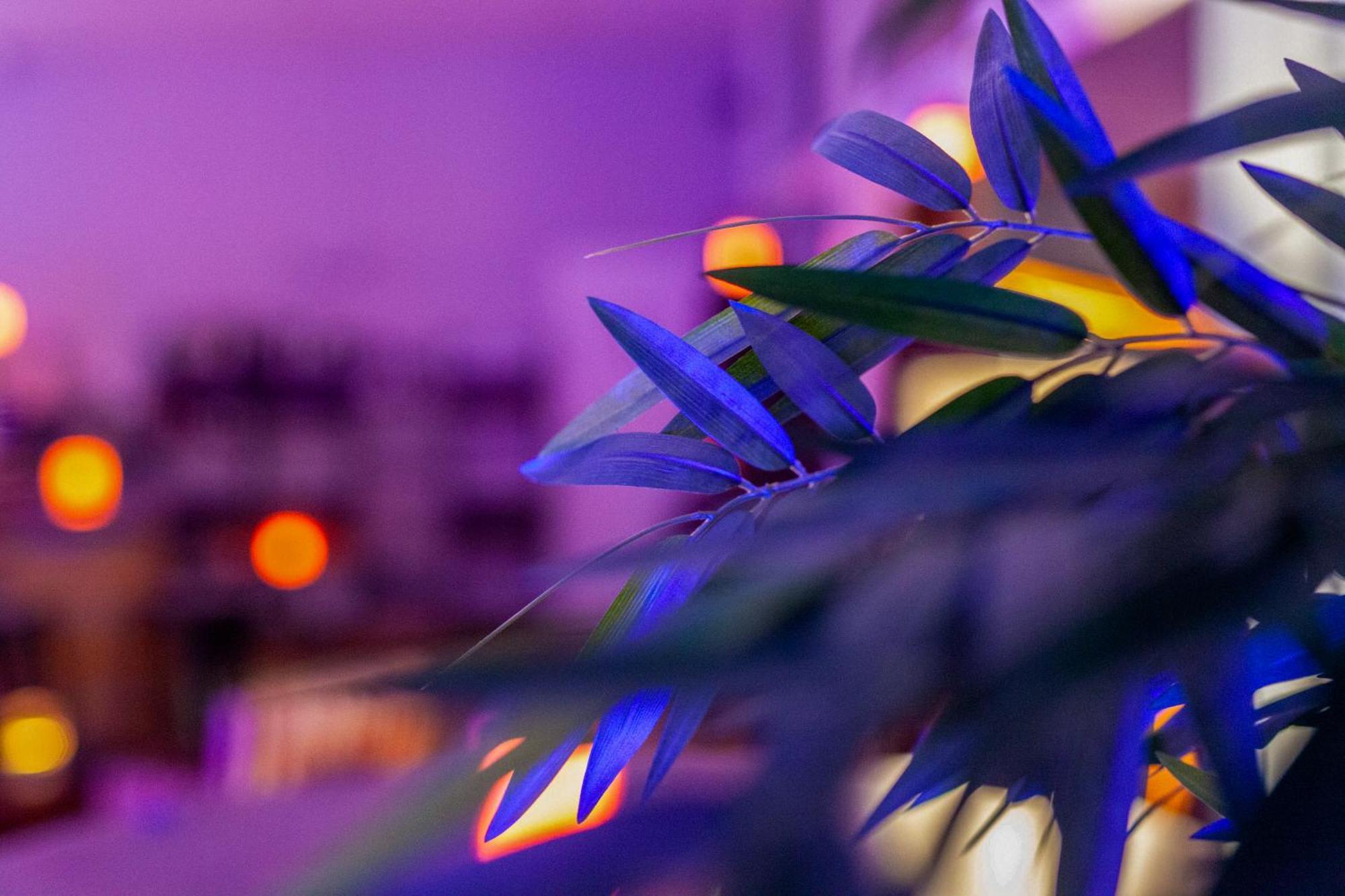 Providence Hotel ヴィッテル エクステリア 写真